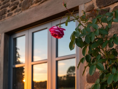 A photograph of a luxury UK cottage bathed in the warm glow of golden-hour midsummer light. The focus is on the matte-finish aluminum tilt & turn windows, reflecting the surrounding landscape, set against a backdrop of rugged, rustic stone walls.